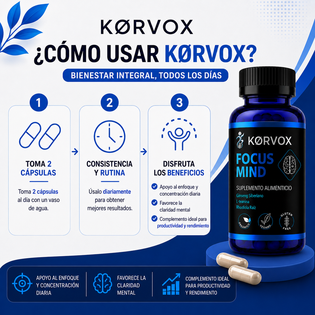 FOCUS MIND