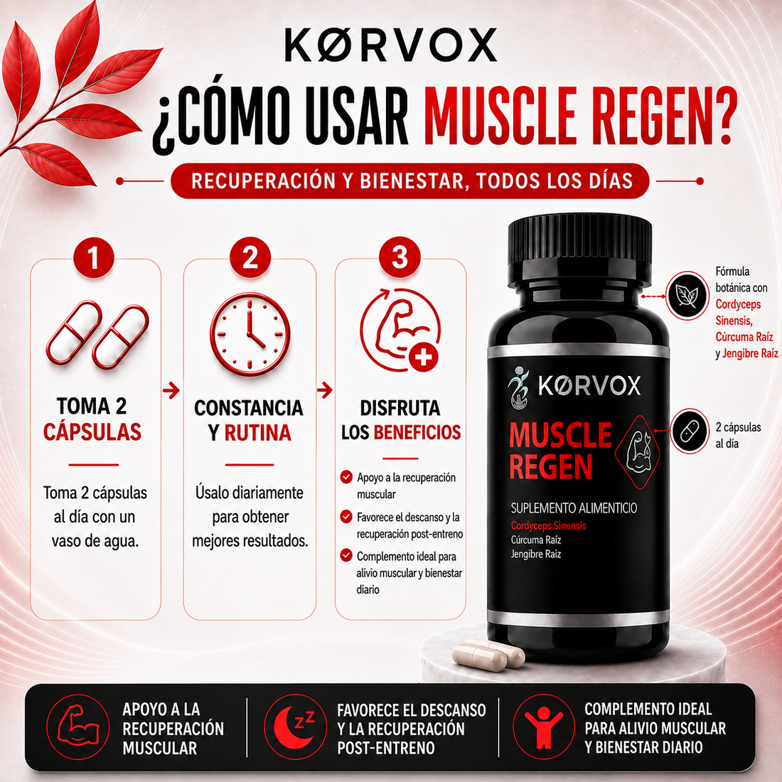 MUSCLE REGEN