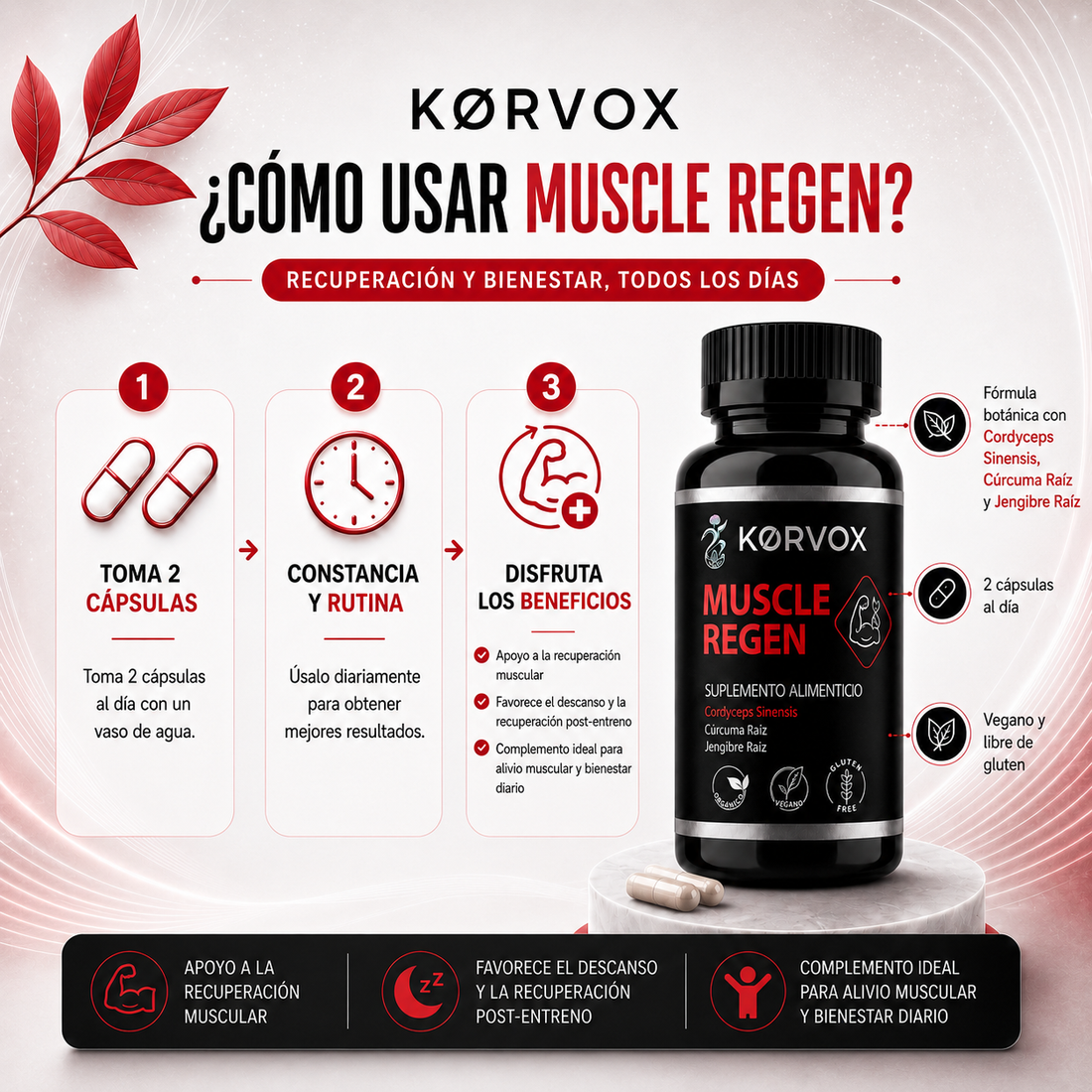 MUSCLE REGEN