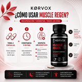 MUSCLE REGEN 3