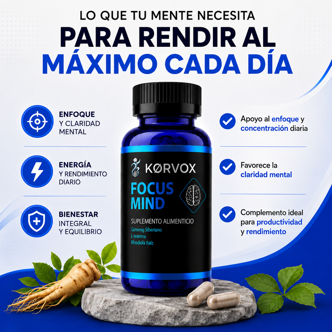 FOCUS MIND