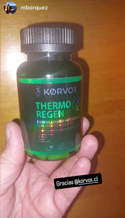 @korvox.cl