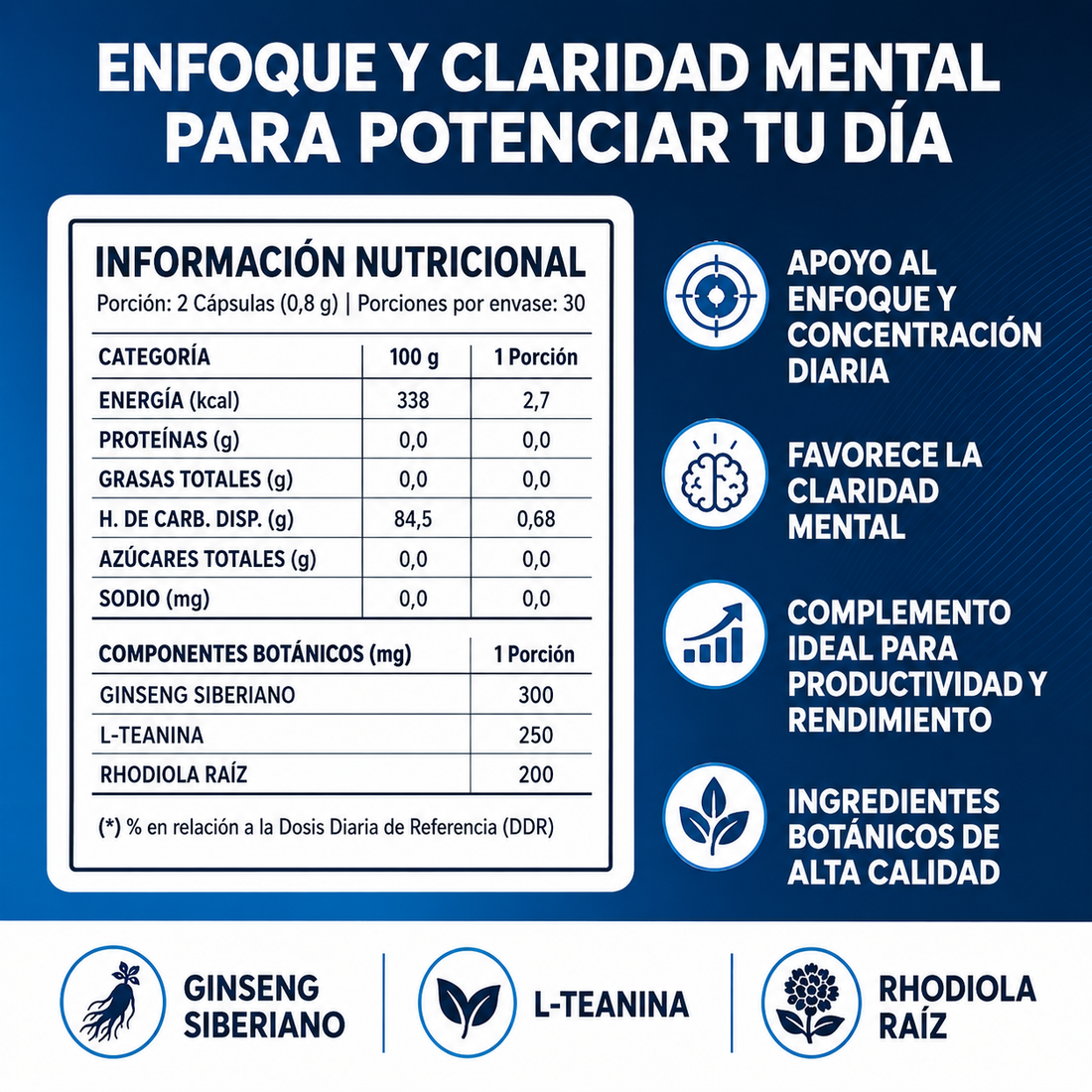 FOCUS MIND